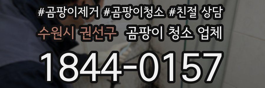 수원시 권선구 곰팡이 청소 업체