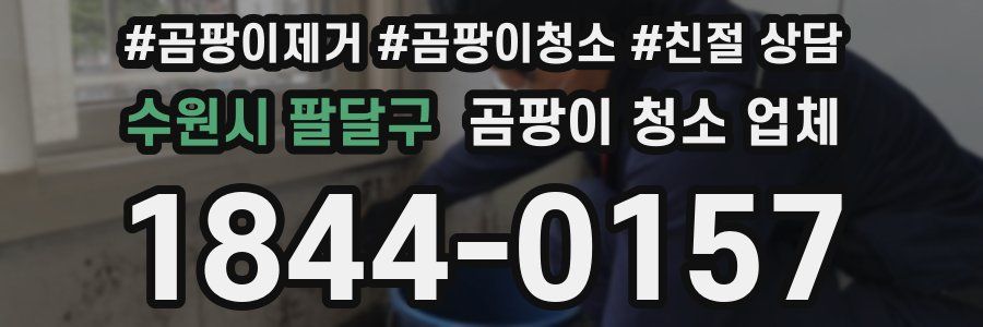 수원시 팔달구 곰팡이 청소 업체