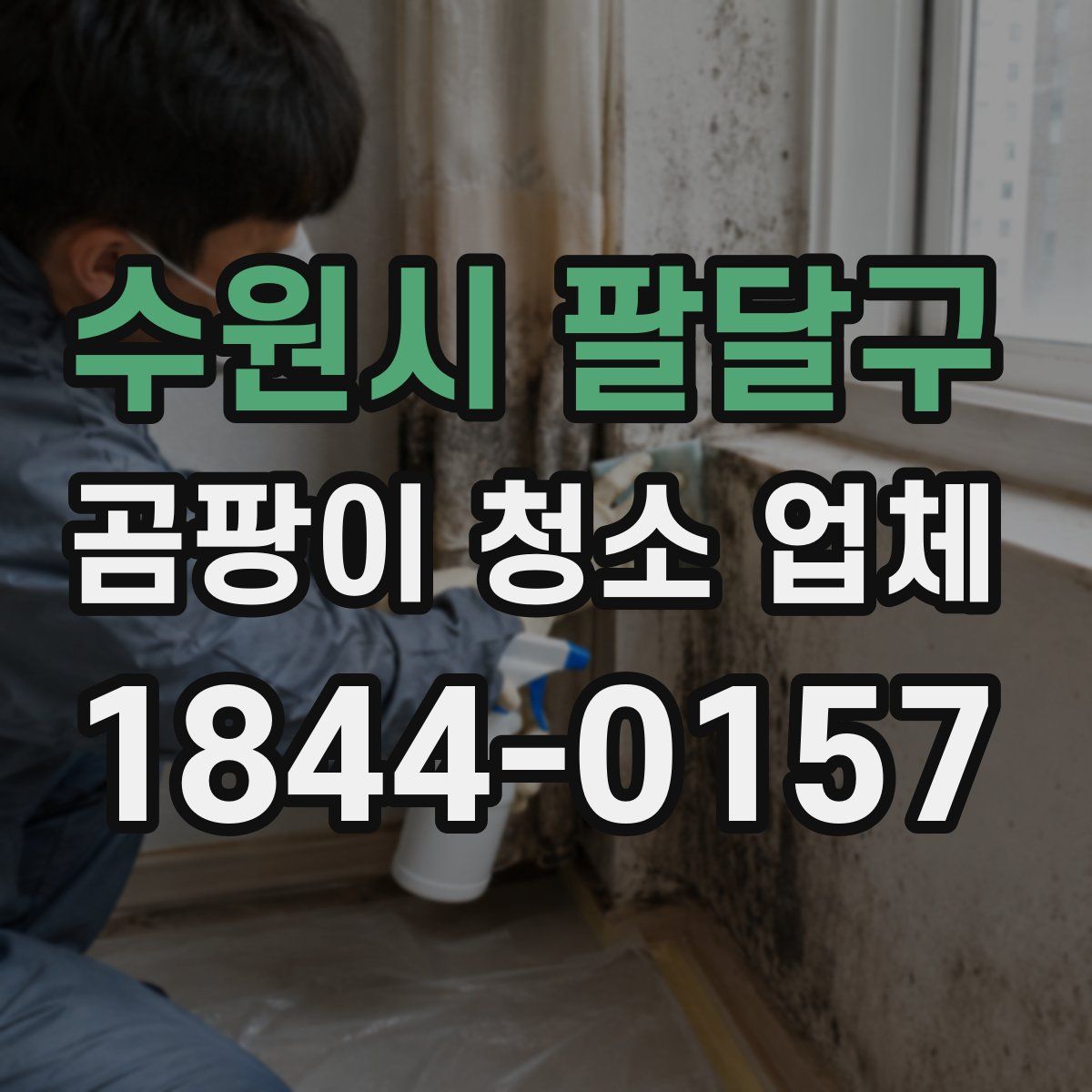 수원시 팔달구 곰팡이 청소 업체