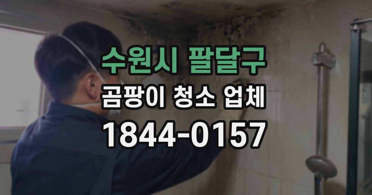 수원시 팔달구 곰팡이 청소 업체