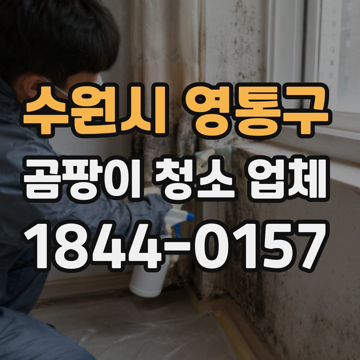 수원시 영통구 곰팡이 청소 업체