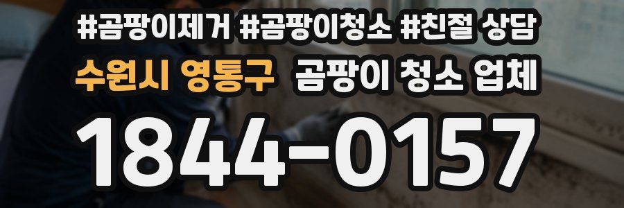 수원시 영통구 곰팡이 청소 업체