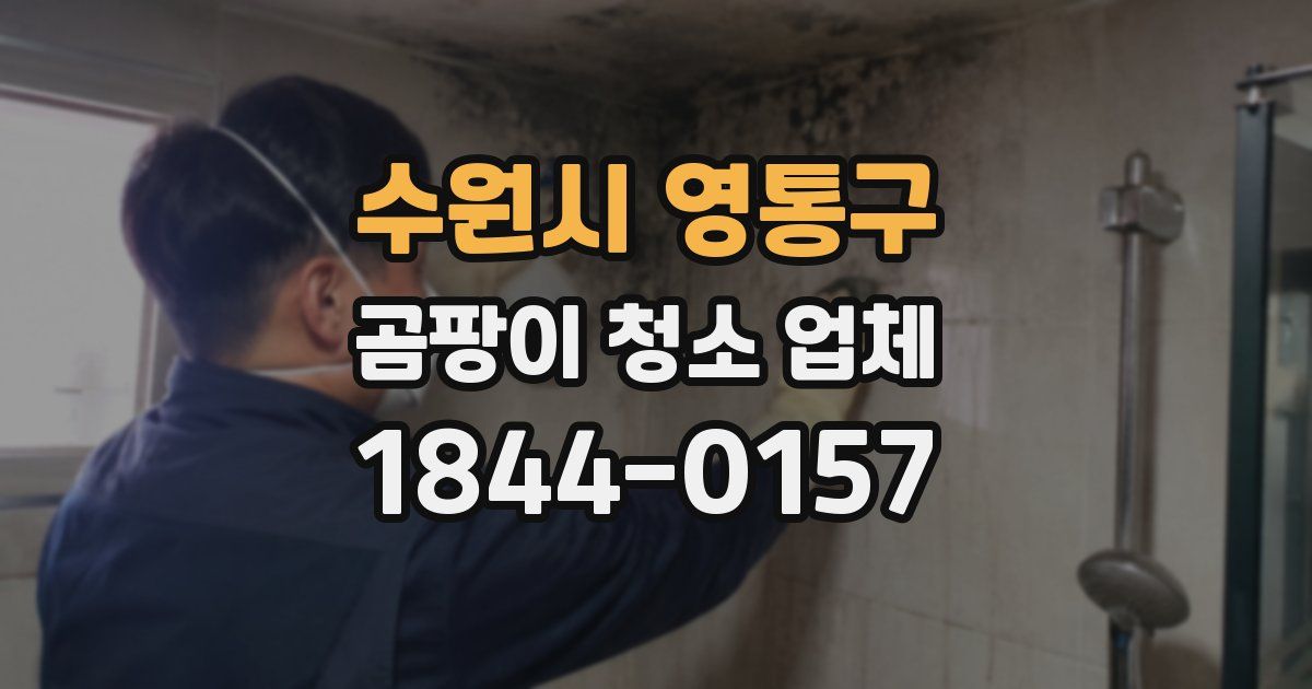 수원시 영통구 곰팡이 청소 업체