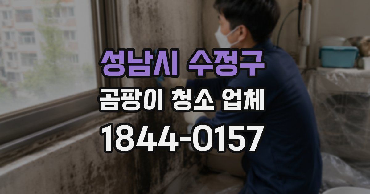 성남시 수정구 곰팡이 청소 업체