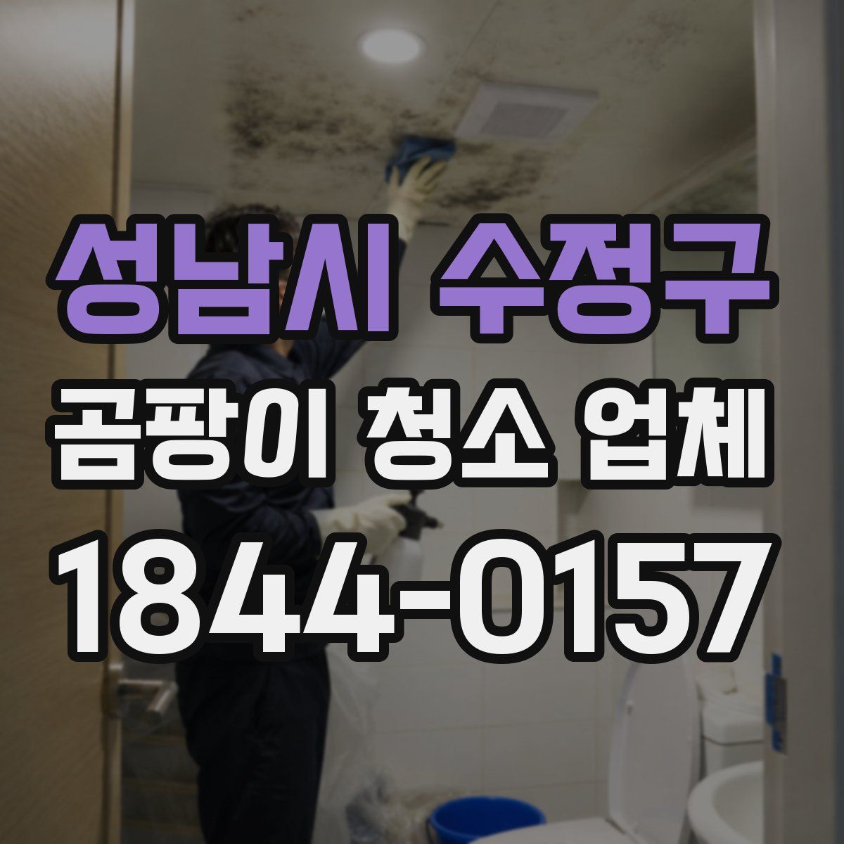 성남시 수정구 곰팡이 청소 업체