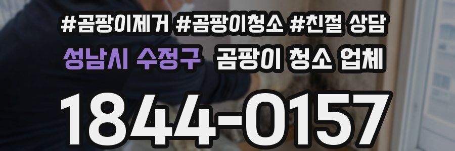성남시 수정구 곰팡이 청소 업체