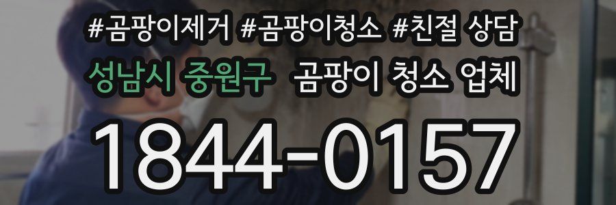 성남시 중원구 곰팡이 청소 업체