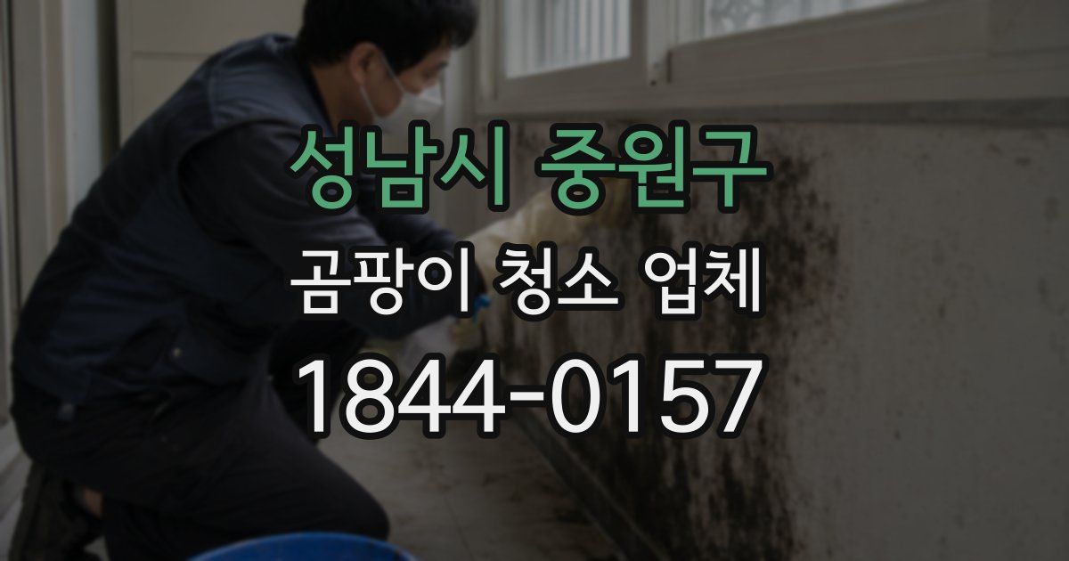 성남시 중원구 곰팡이 청소 업체