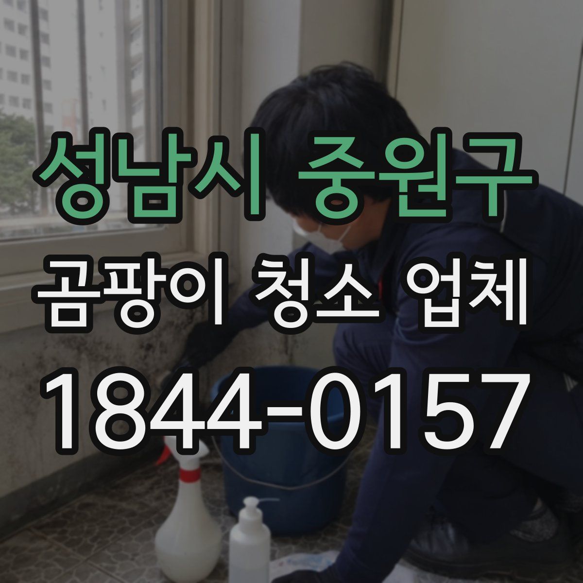 성남시 중원구 곰팡이 청소 업체