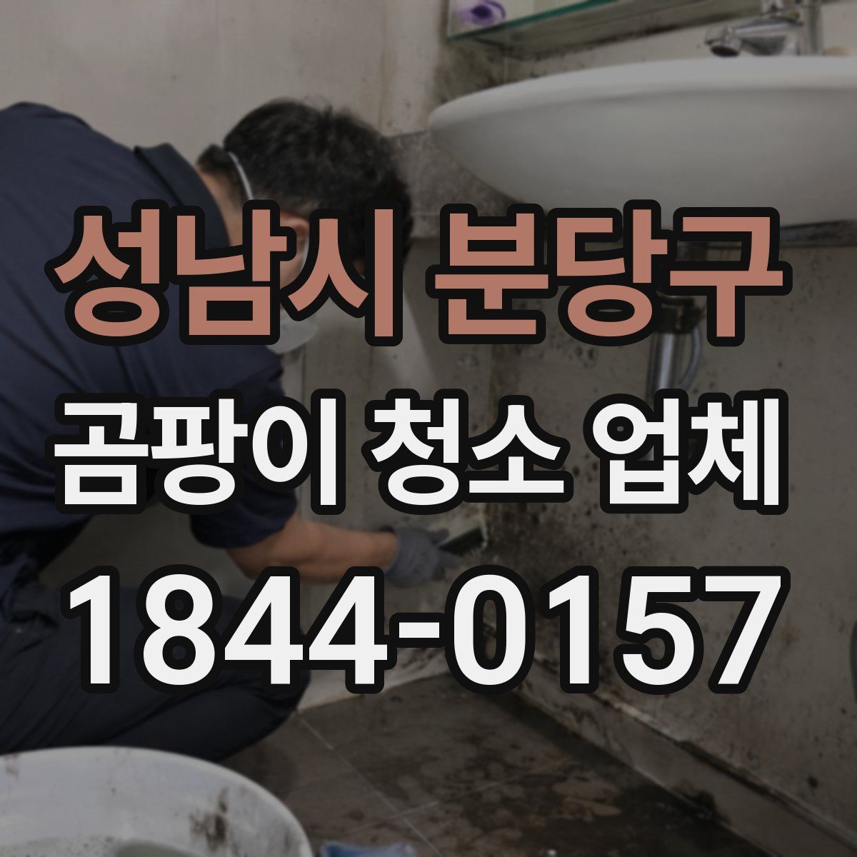 성남시 분당구 곰팡이 청소 업체