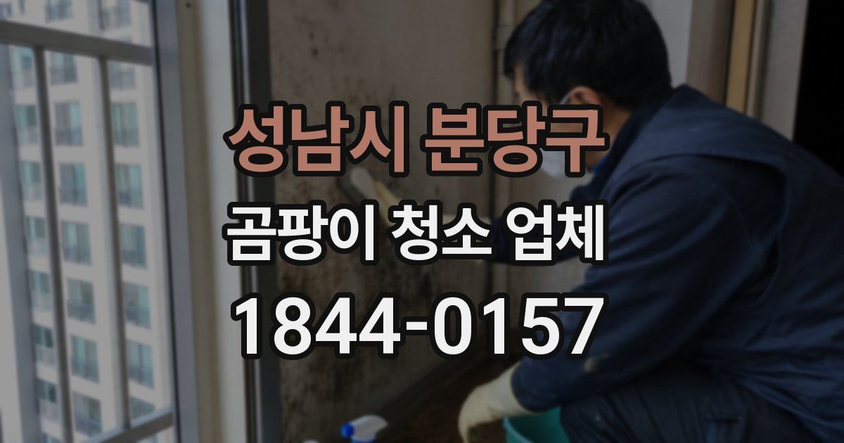 성남시 분당구 곰팡이 청소 업체