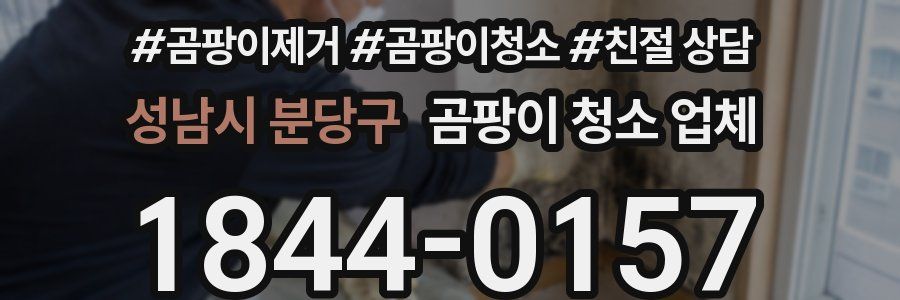 성남시 분당구 곰팡이 청소 업체