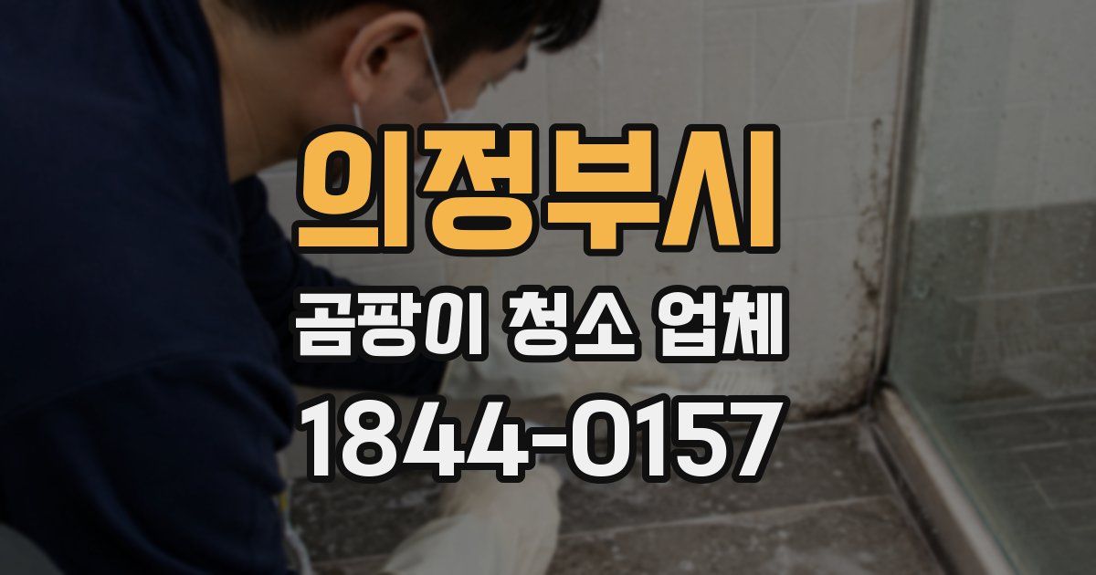 의정부시 곰팡이 청소 업체