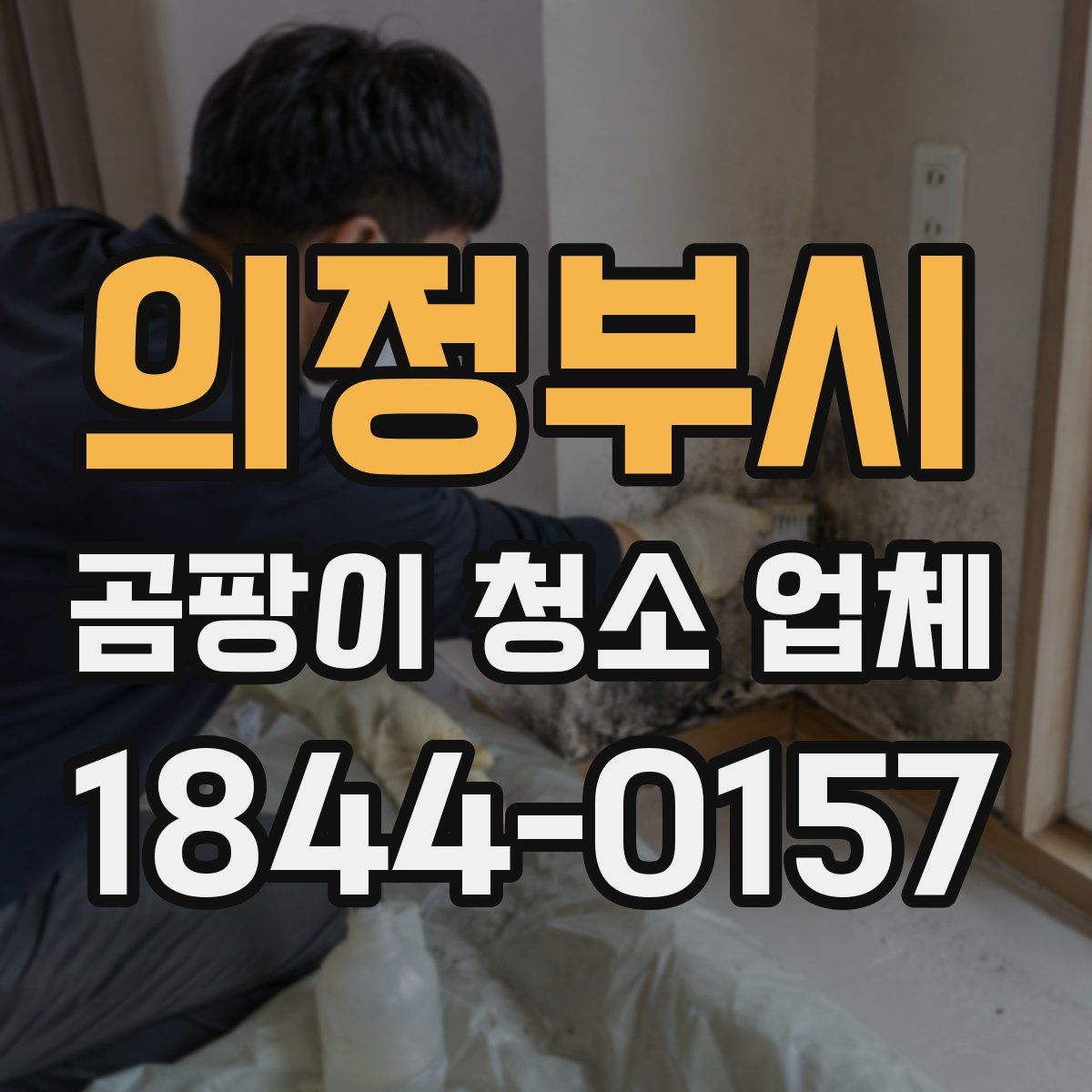 의정부시 곰팡이 청소 업체