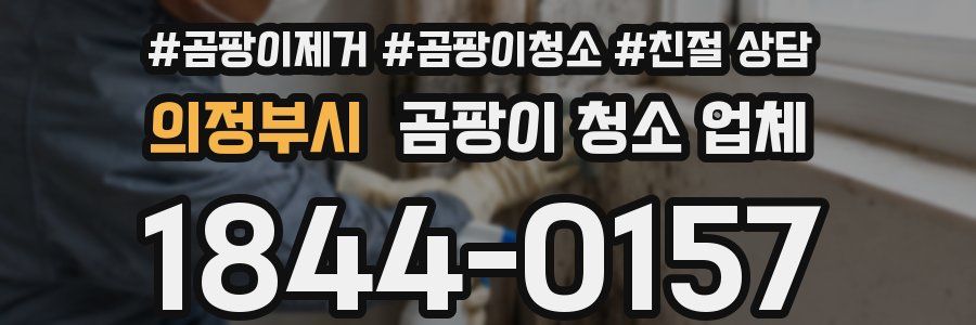 의정부시 곰팡이 청소 업체