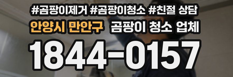 안양시 만안구 곰팡이 청소 업체
