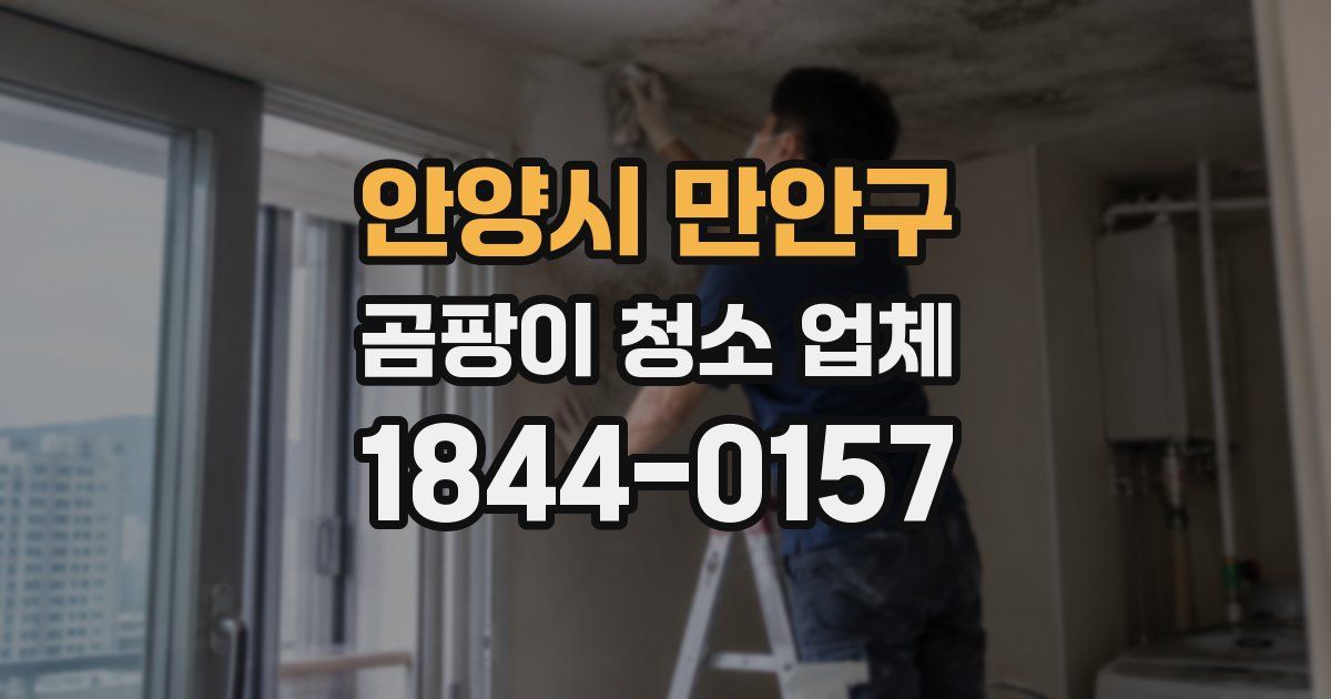 안양시 만안구 곰팡이 청소 업체