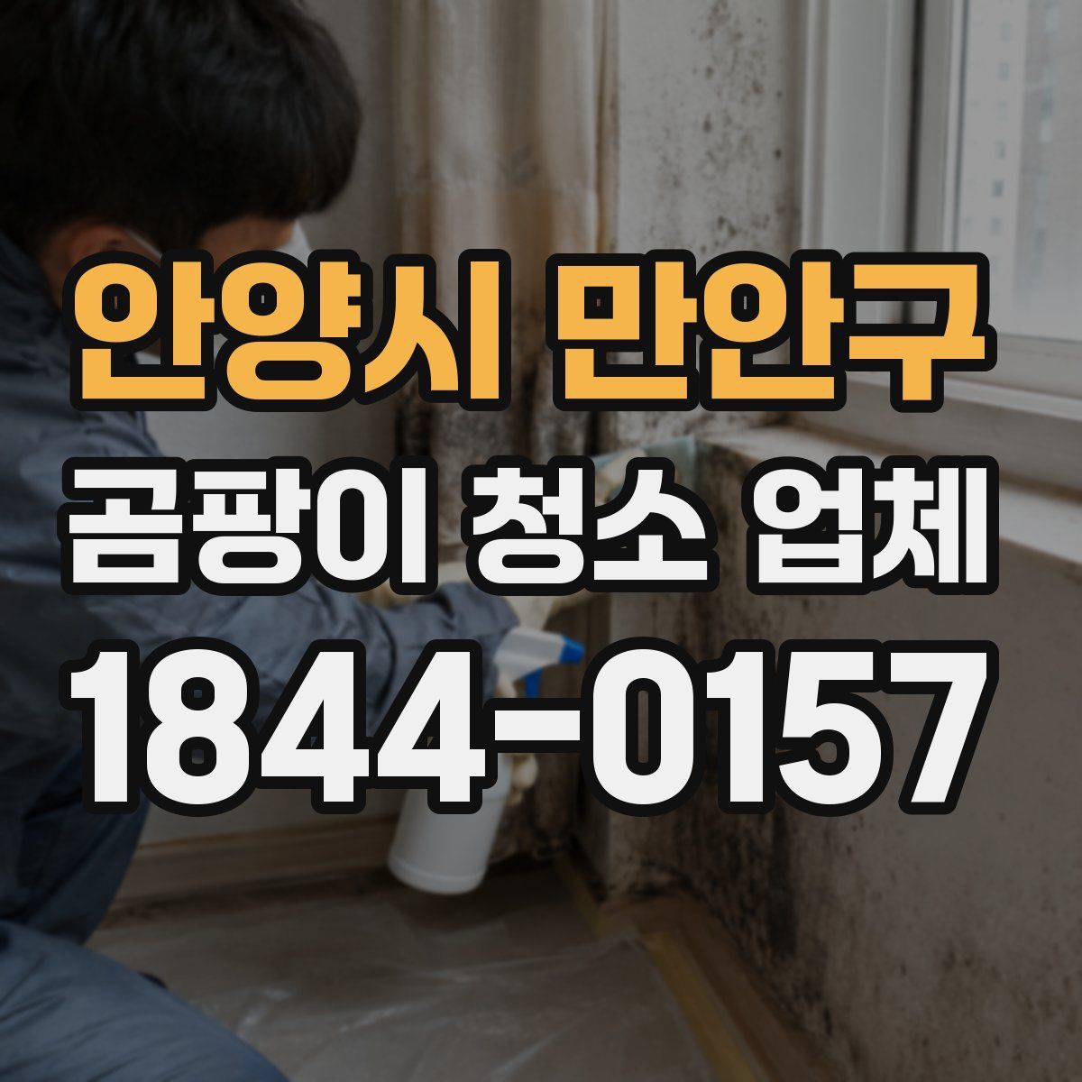 안양시 만안구 곰팡이 청소 업체