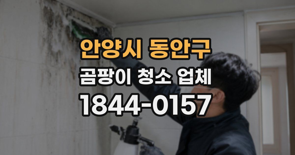 안양시 동안구 곰팡이 청소 업체