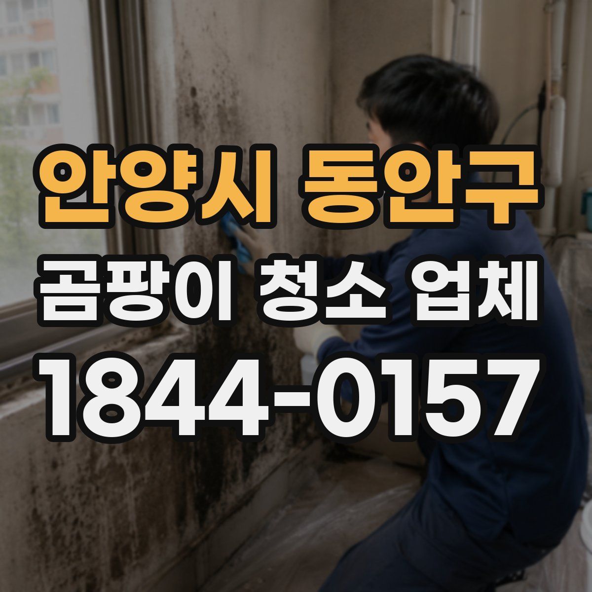 안양시 동안구 곰팡이 청소 업체