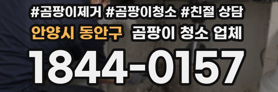 안양시 동안구 곰팡이 청소 업체