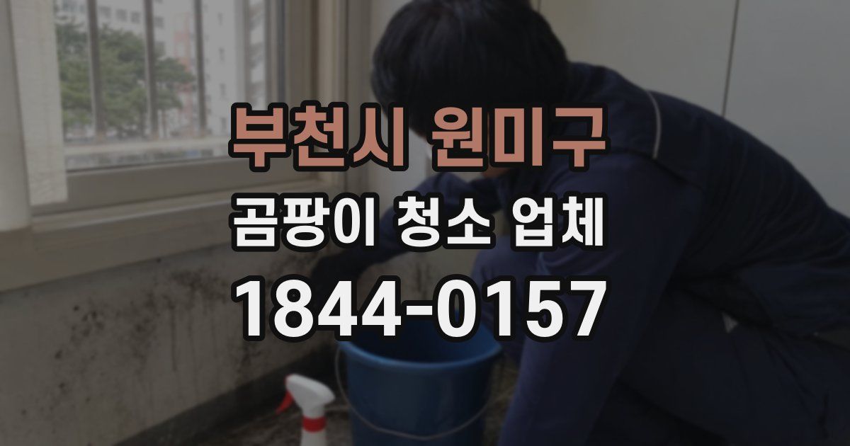 부천시 원미구 곰팡이 청소 업체