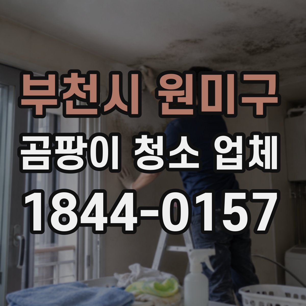 부천시 원미구 곰팡이 청소 업체