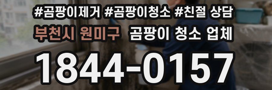 부천시 원미구 곰팡이 청소 업체