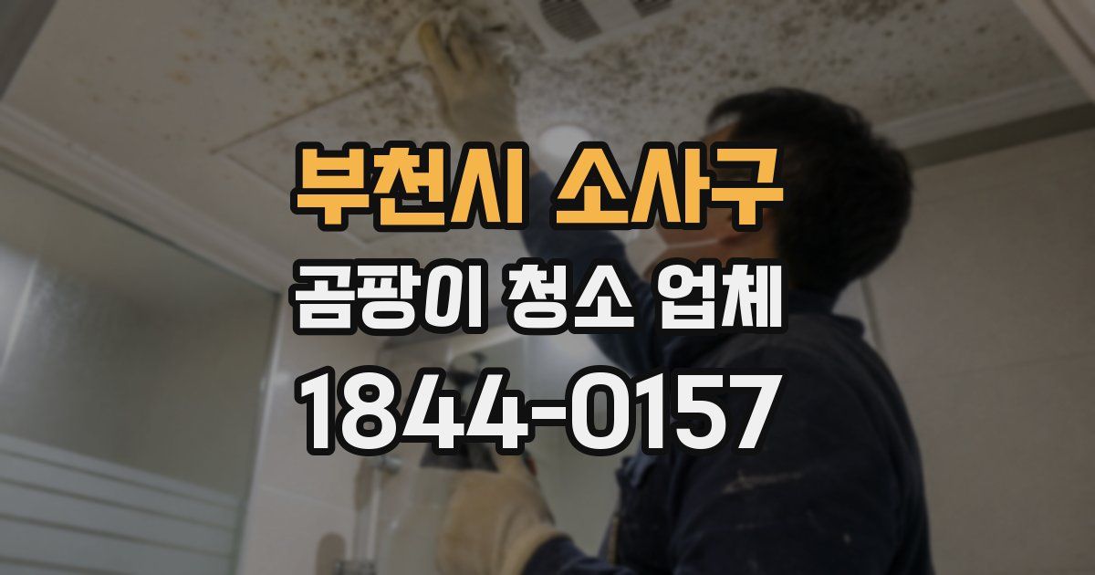 부천시 소사구 곰팡이 청소 업체