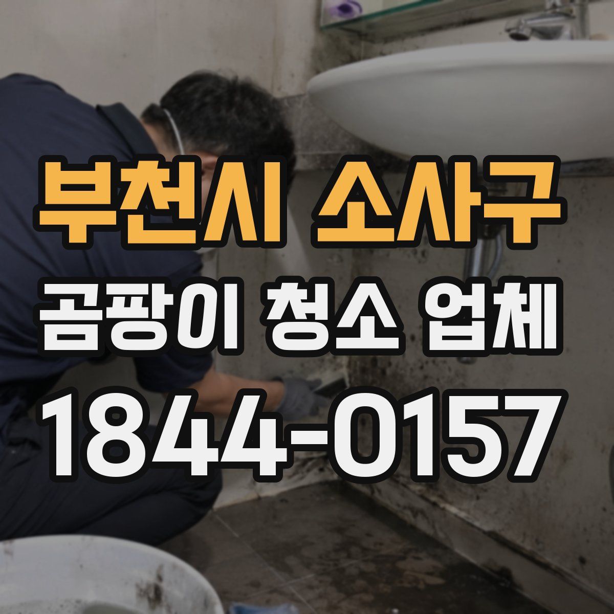 부천시 소사구 곰팡이 청소 업체