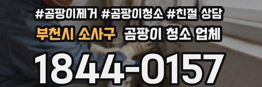 부천시 소사구 곰팡이 청소 업체