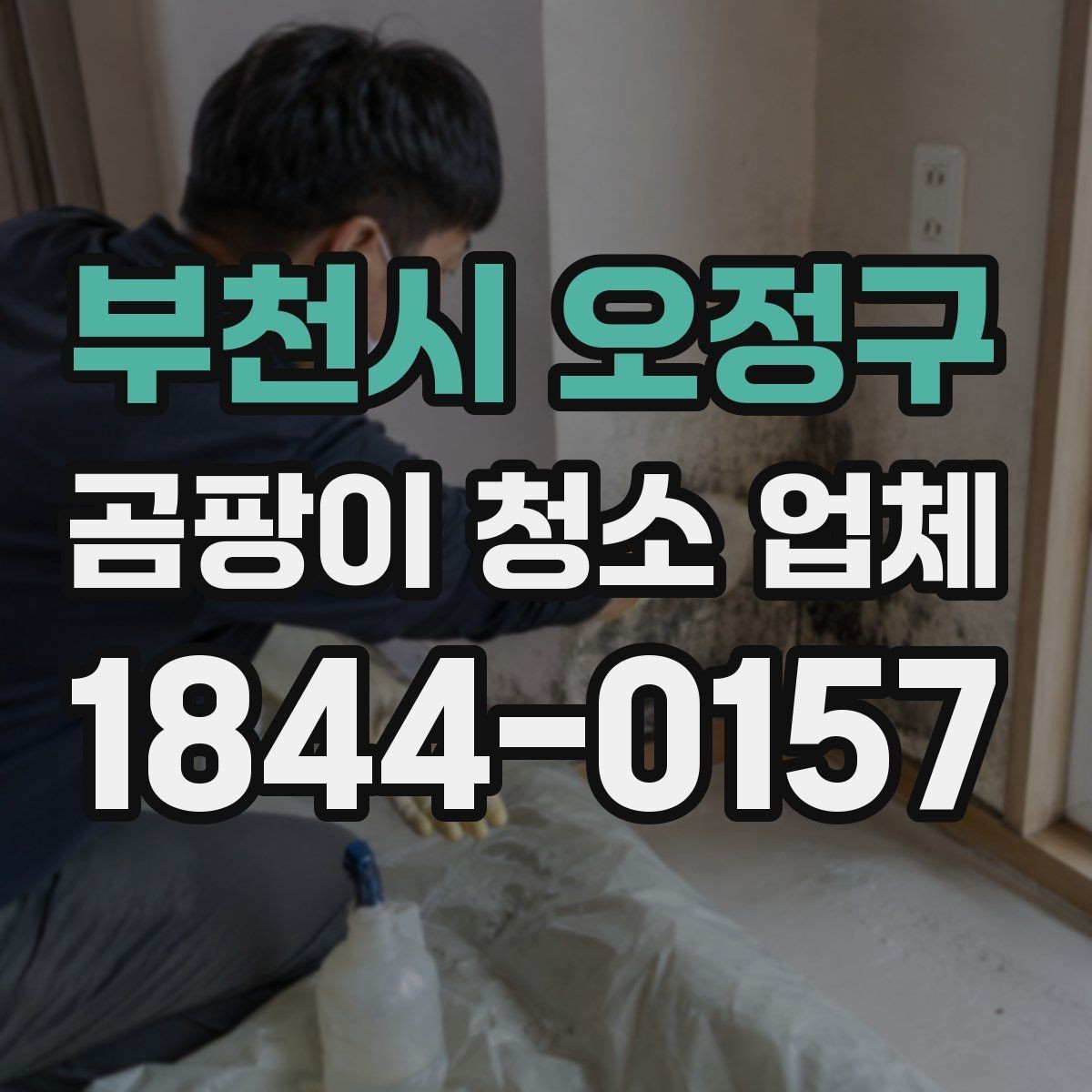 부천시 오정구 곰팡이 청소 업체 이용 전 설명서처럼 읽는 기본 정보