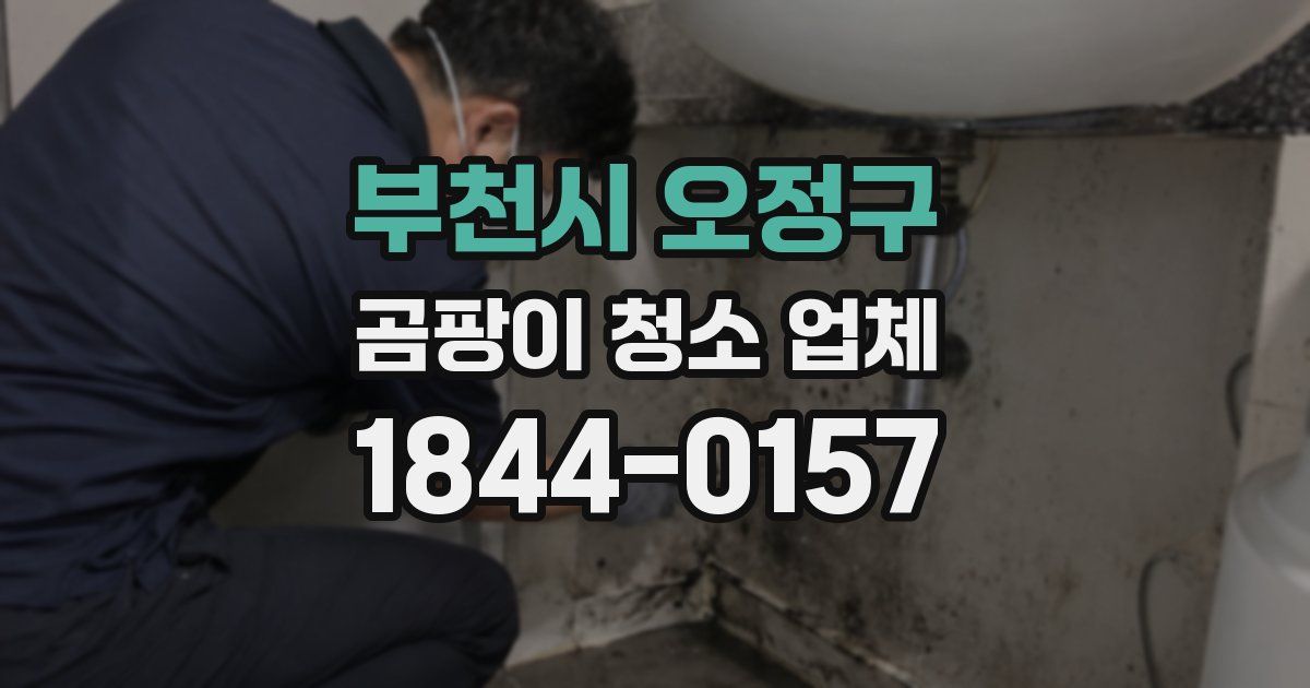 부천시 오정구 곰팡이 청소 업체