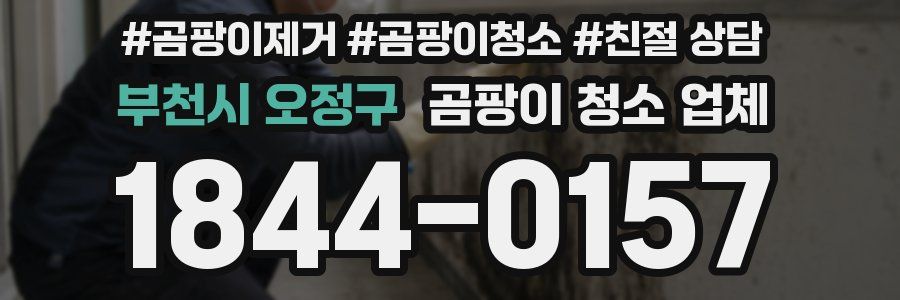 부천시 오정구 곰팡이 청소 업체