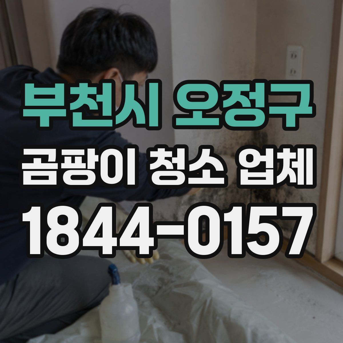 부천시 오정구 곰팡이 청소 업체