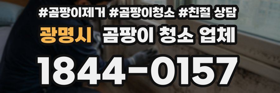 광명시 곰팡이 청소 업체
