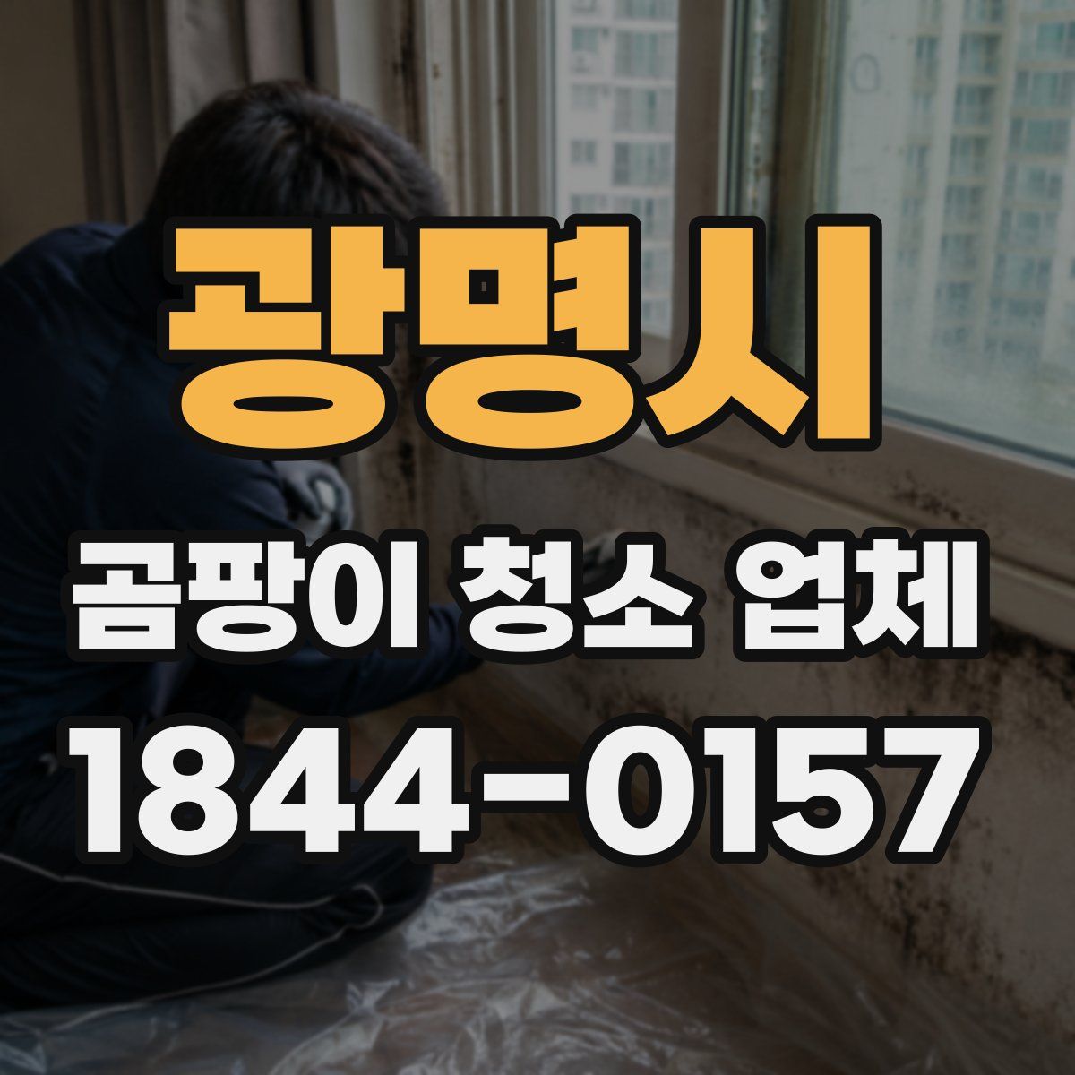 광명시 곰팡이 청소 업체
