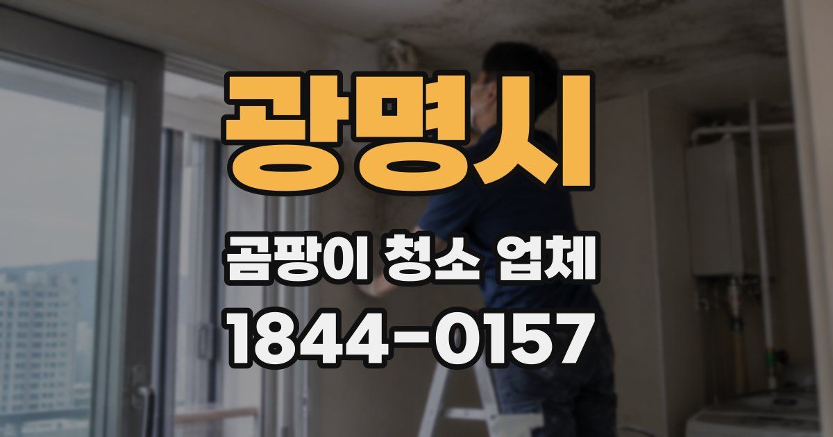 광명시 곰팡이 청소 업체