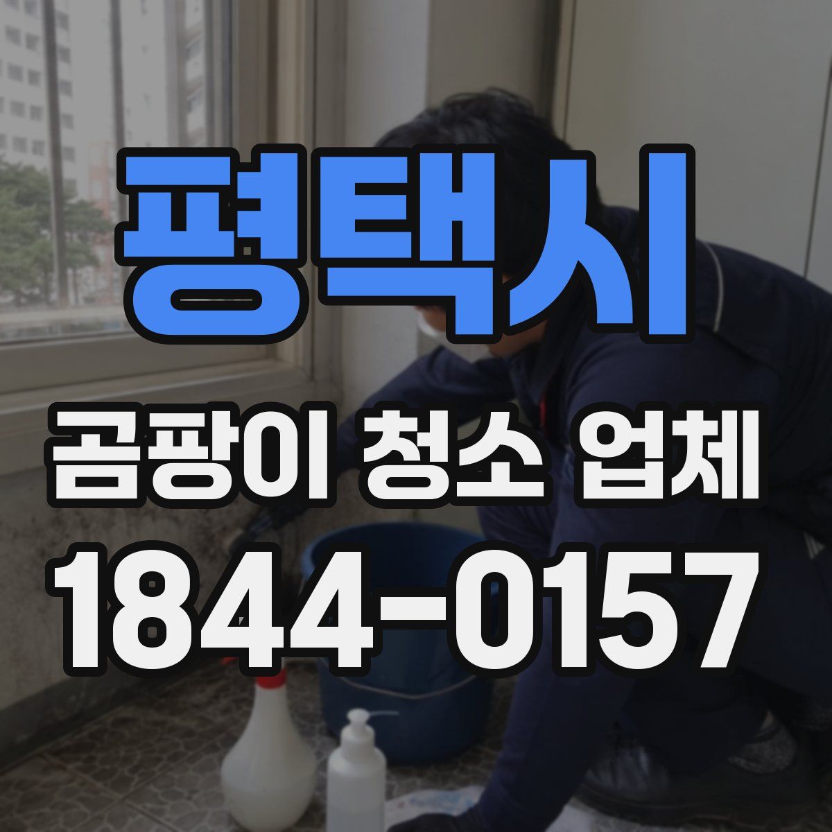평택시 곰팡이 청소 업체