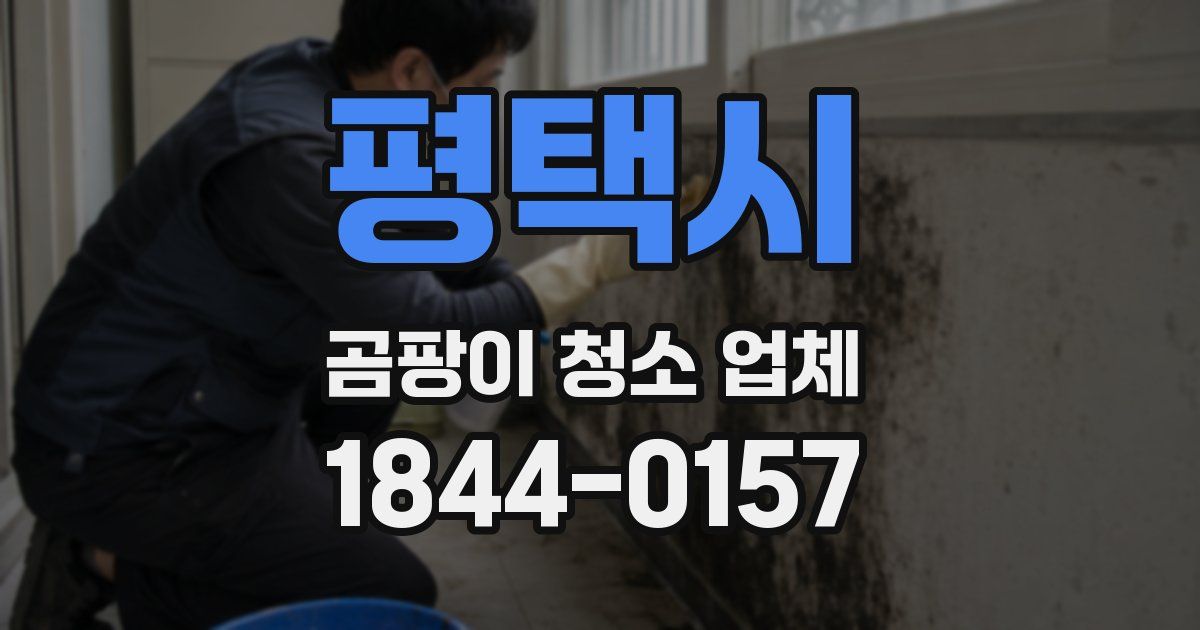평택시 곰팡이 청소 업체