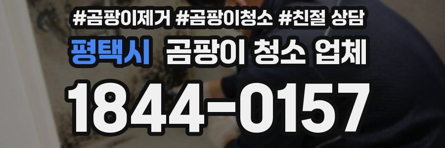 평택시 곰팡이 청소 업체