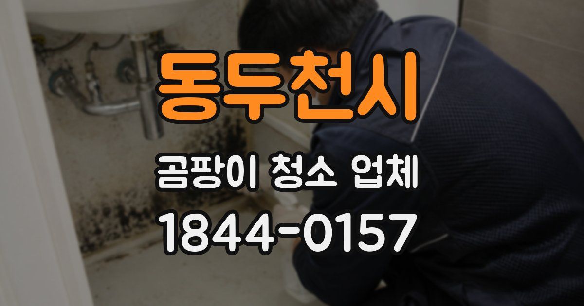 동두천시 곰팡이 청소 업체