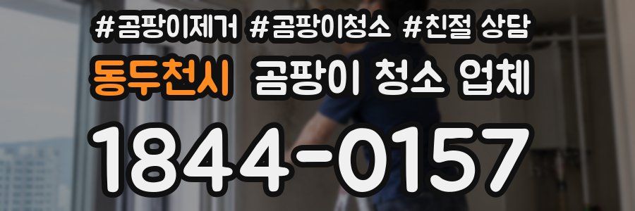 동두천시 곰팡이 청소 업체