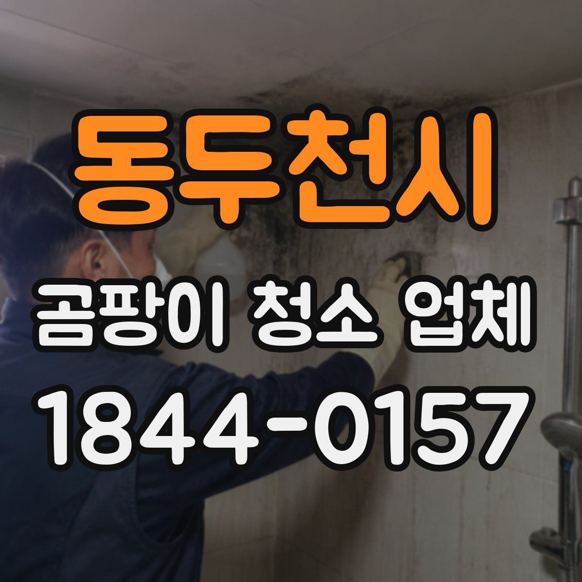 동두천시 곰팡이 청소 업체