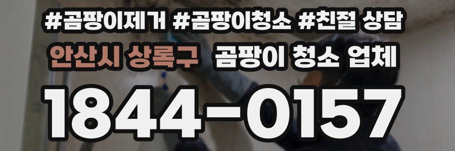 안산시 상록구 곰팡이 청소 업체