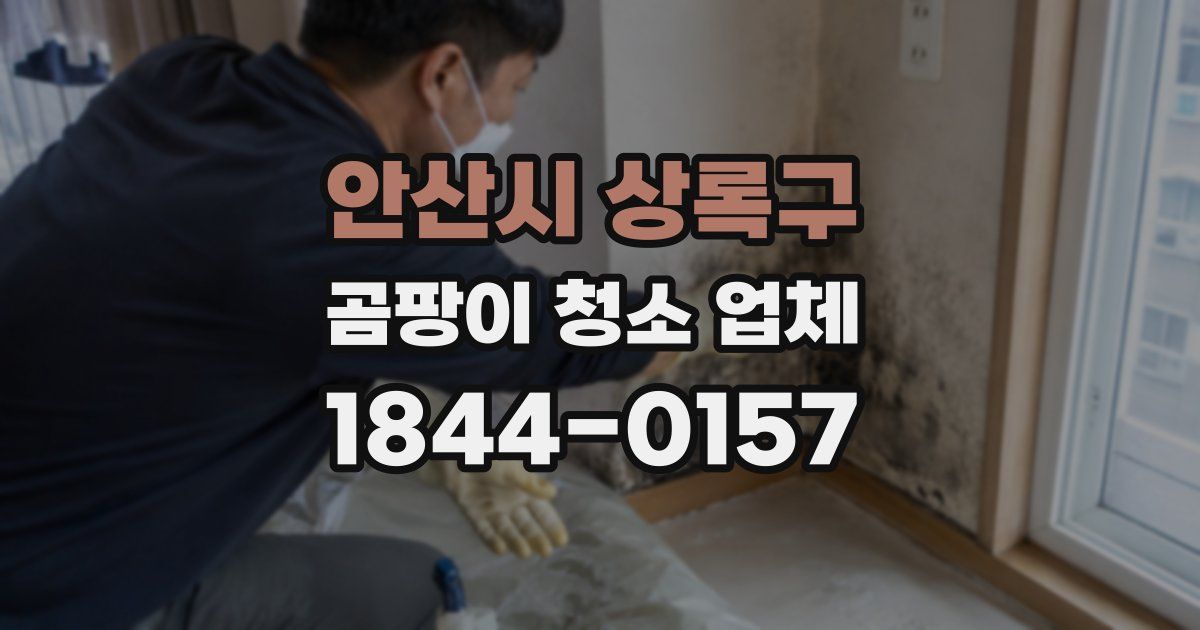안산시 상록구 곰팡이 청소 업체