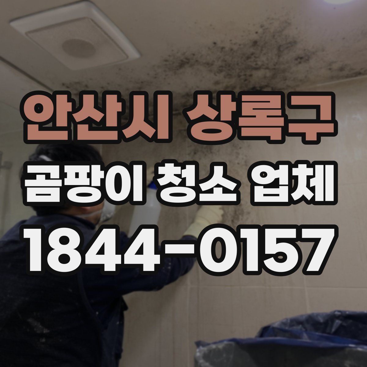 안산시 상록구 곰팡이 청소 업체