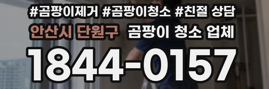 안산시 단원구 곰팡이 청소 업체