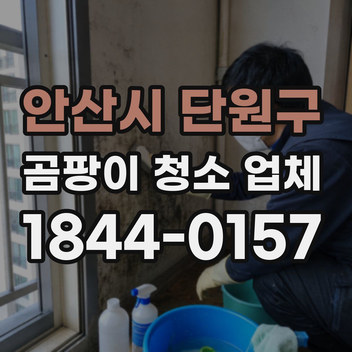 안산시 단원구 곰팡이 청소 업체