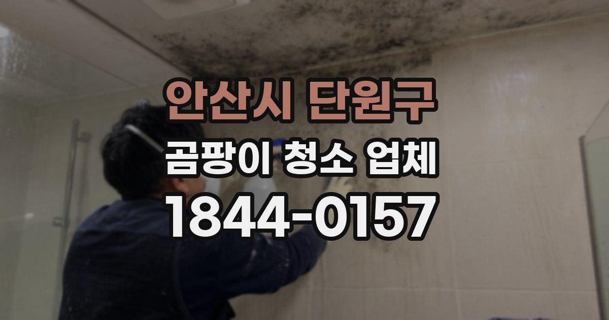 안산시 단원구 곰팡이 청소 업체
